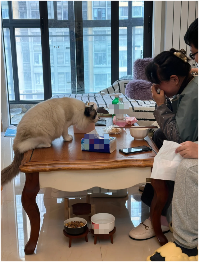 Khách mang 13,7 tỷ đồng tiền đền bù đất đi gửi tiết kiệm, 2 năm phát hiện đã mua bảo hiểm, nhân viên ngân hàng chỉ nói đúng 5 từ- Ảnh 1.