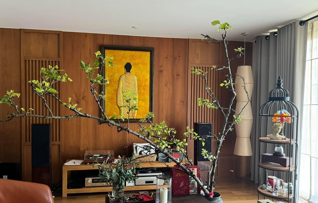 Nam ca sĩ từng cưới hoa hậu, tuổi 50 sống một mình trong biệt thự 400m2 đẹp hơn resort ở Phú Nhuận- Ảnh 8.