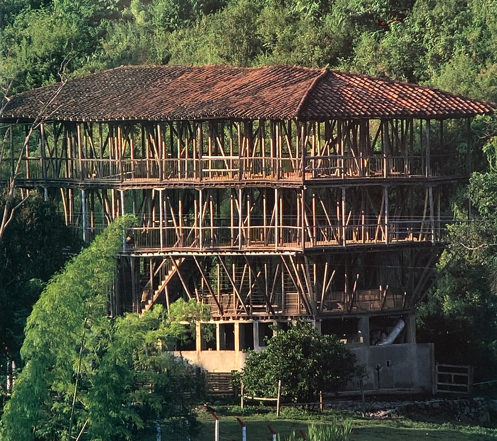 Lần đầu tiên trên thế giới: "Bí quyết kỹ thuật" về TRE có thể dậy sóng ngành thép, bê tông toàn cầu- Ảnh 2.