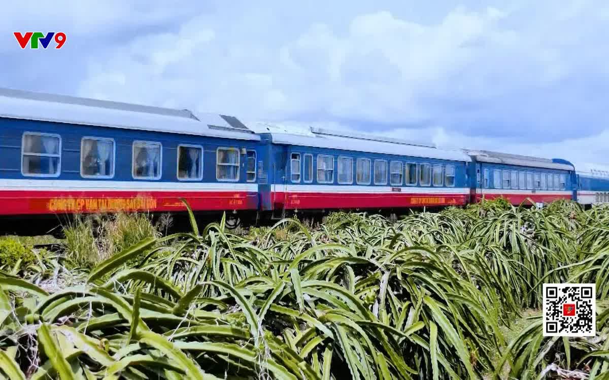 Đề xuất đầu tư để cải tạo đường sắt Hà Nội - TP. Hồ Chí Minh