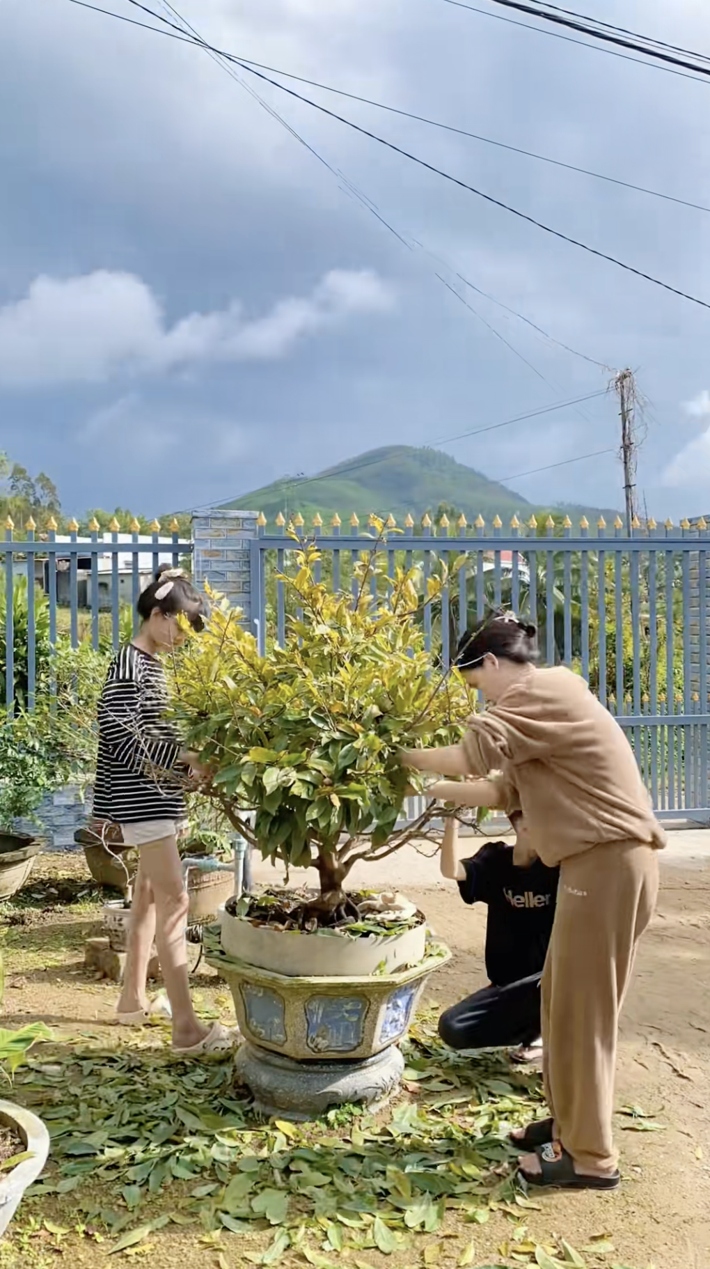 Cận cảnh rước "cây vàng" khổng lồ về ăn Tết ở miền Tây, cả nước ngưỡng mộ- Ảnh 6.