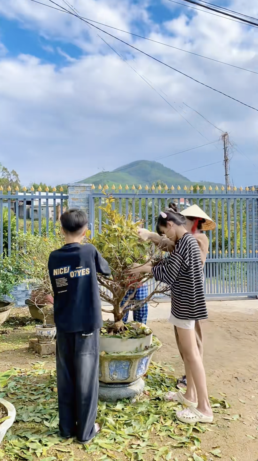 Cận cảnh rước "cây vàng" khổng lồ về ăn Tết ở miền Tây, cả nước ngưỡng mộ- Ảnh 5.