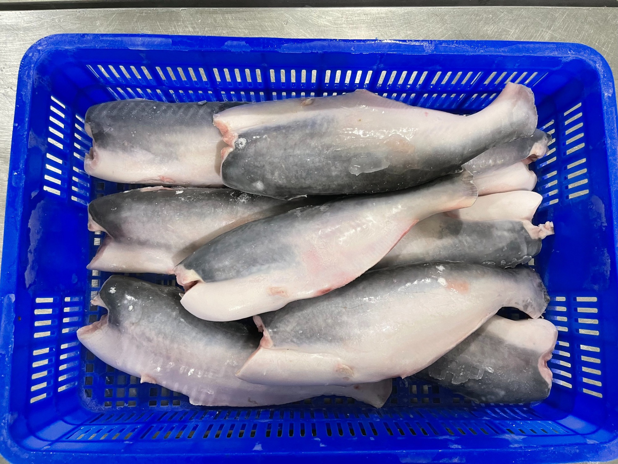 12 loại cá bổ ngang nhân sâm tổ yến, ngọt thịt, ít xương dăm, chợ Việt bán từ 40.000 đồng/kg- Ảnh 1.