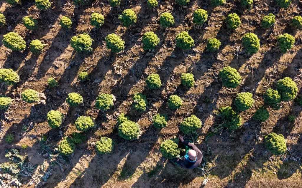 Thế giới bước vào kỷ nguyên “phá sản nguồn nước” - Ảnh 1.