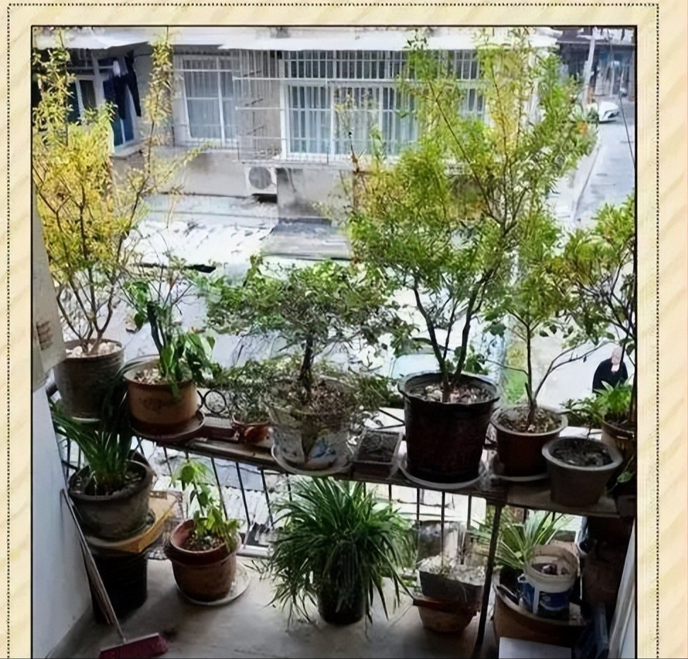 Bán căn hộ sang, tôi về ở tầng trệt khu phố cũ sau 20 năm: Cái giá thật sự của "nhà cao - tiện nghi" khiến tôi tỉnh ra- Ảnh 2.