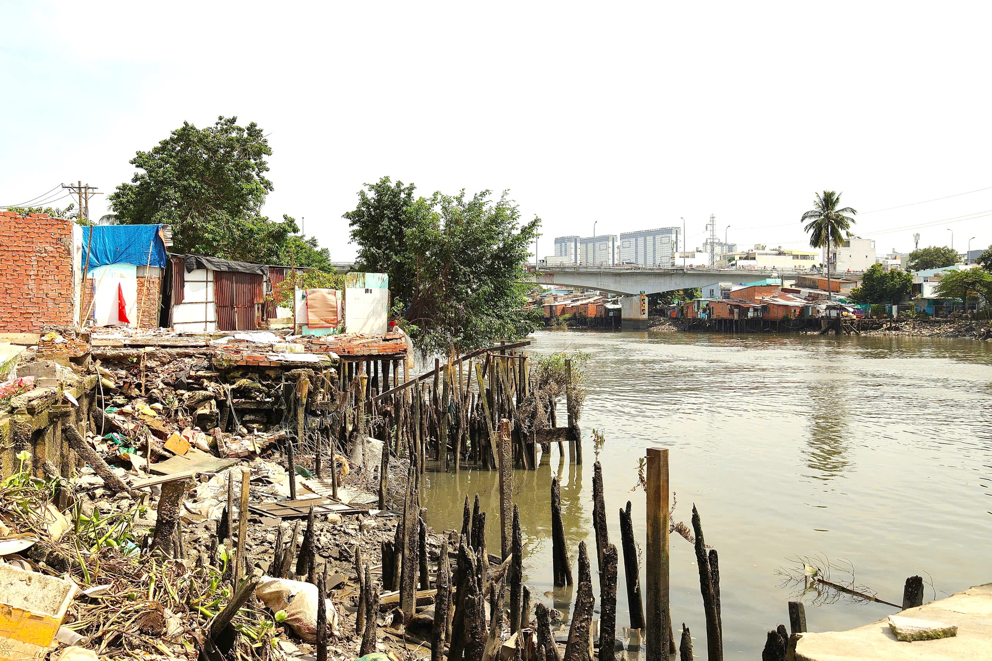 TPHCM: Phân vai, rõ việc triển khai dự án và bồi thường - Ảnh 1.