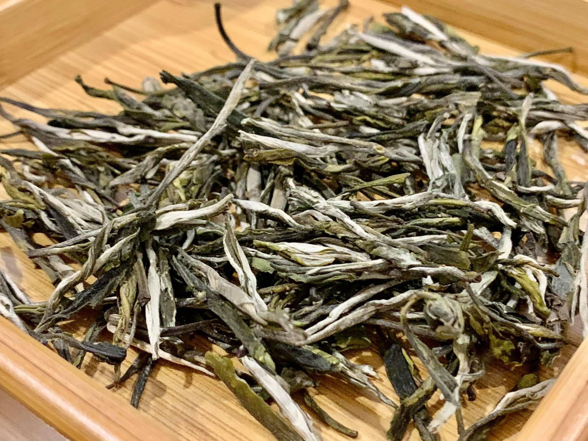 Loại trà gần 700 triệu đồng/kg ở Việt Nam: Sống ở độ cao trên 1.500 m, có tới 3 lý do khiến giá đắt đỏ - Ảnh 3.