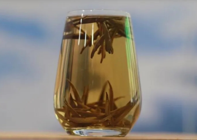 Loại trà gần 700 triệu đồng/kg ở Việt Nam: Sống ở độ cao trên 1.500 m, có tới 3 lý do khiến giá đắt đỏ - Ảnh 4.