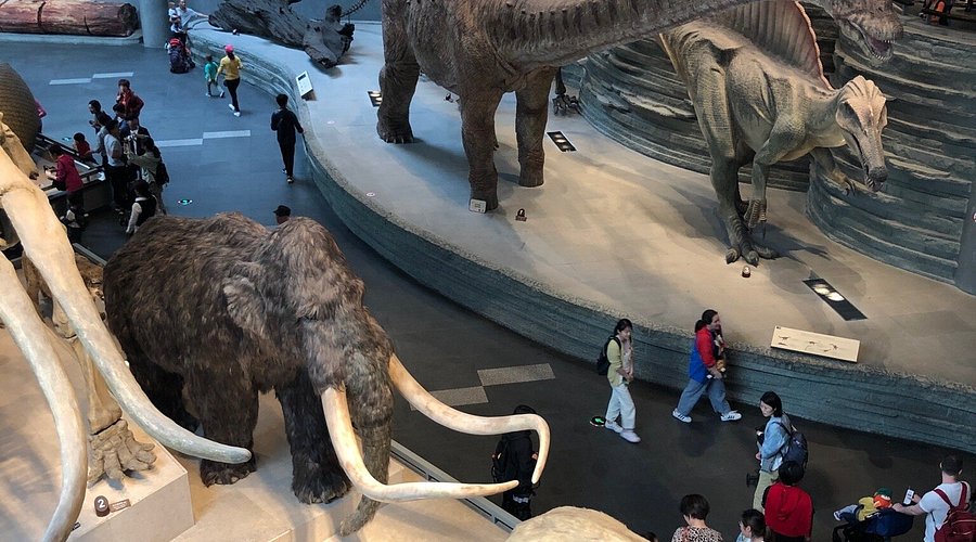 Tuyết rơi bất ngờ tại một thành phố giáp biển, hiếm có sau gần 1 thập kỷ - Ảnh 5.