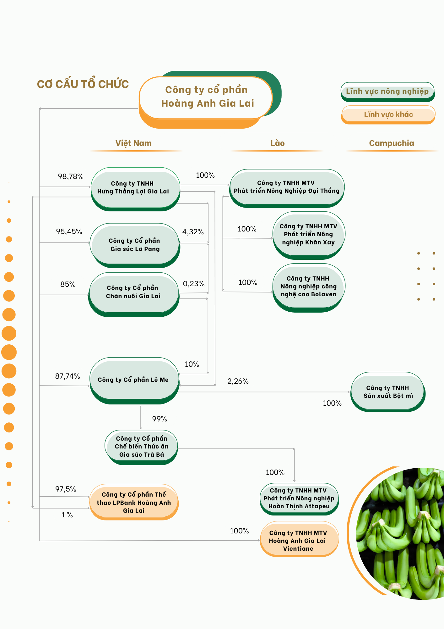 Bầu Đức treo thưởng 3 tỷ đồng nếu U23 Việt Nam thắng U23 Hàn Quốc- Ảnh 3.
