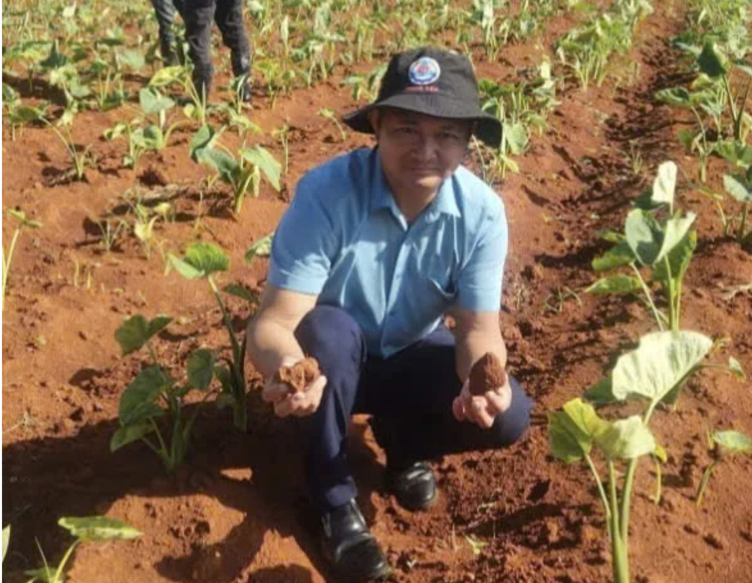 Cuba "mở kho" 2.000ha đất cho DN Việt, hé lộ mục tiêu với mặt hàng mà Việt Nam đang thống lĩnh thế giới - Ảnh 1.