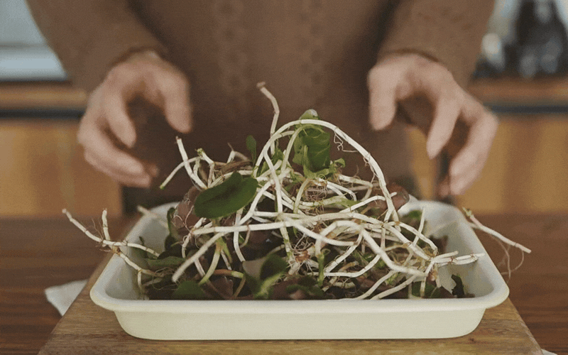 Món ăn "ngang ngược" được làm từ "thứ rau của quỷ" khiến kẻ khóc người cười- Ảnh 4.