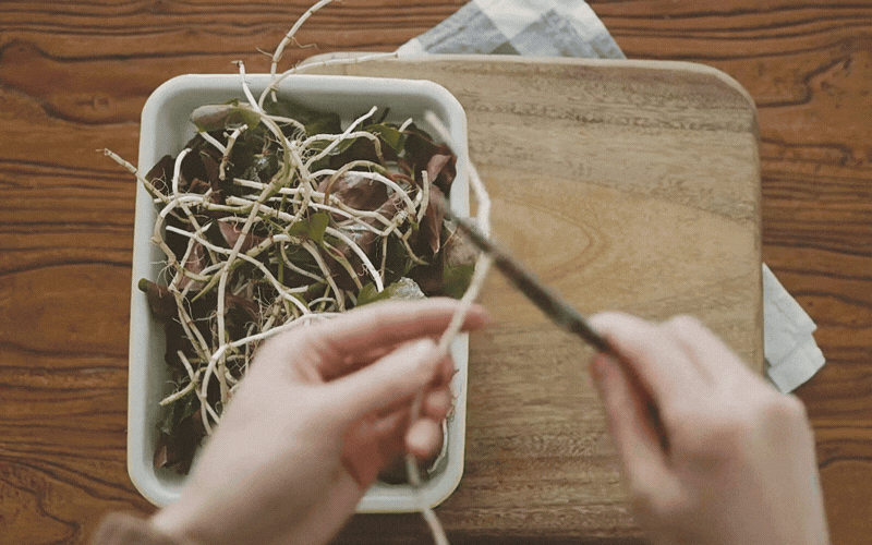 Món ăn "ngang ngược" được làm từ "thứ rau của quỷ" khiến kẻ khóc người cười- Ảnh 5.