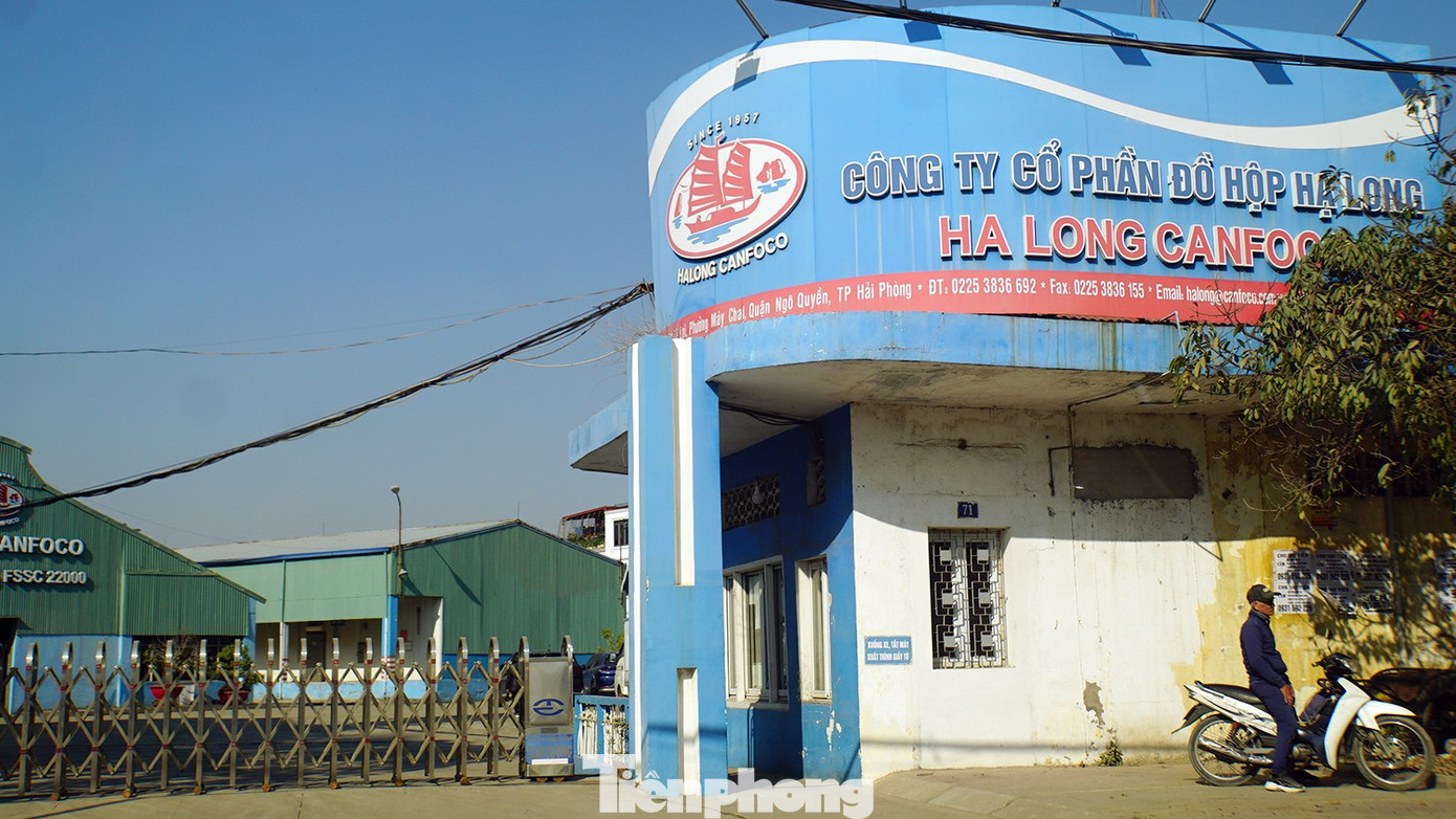 Công ty Đồ hộp Hạ Long bị 'tuýt còi'- Ảnh 1.