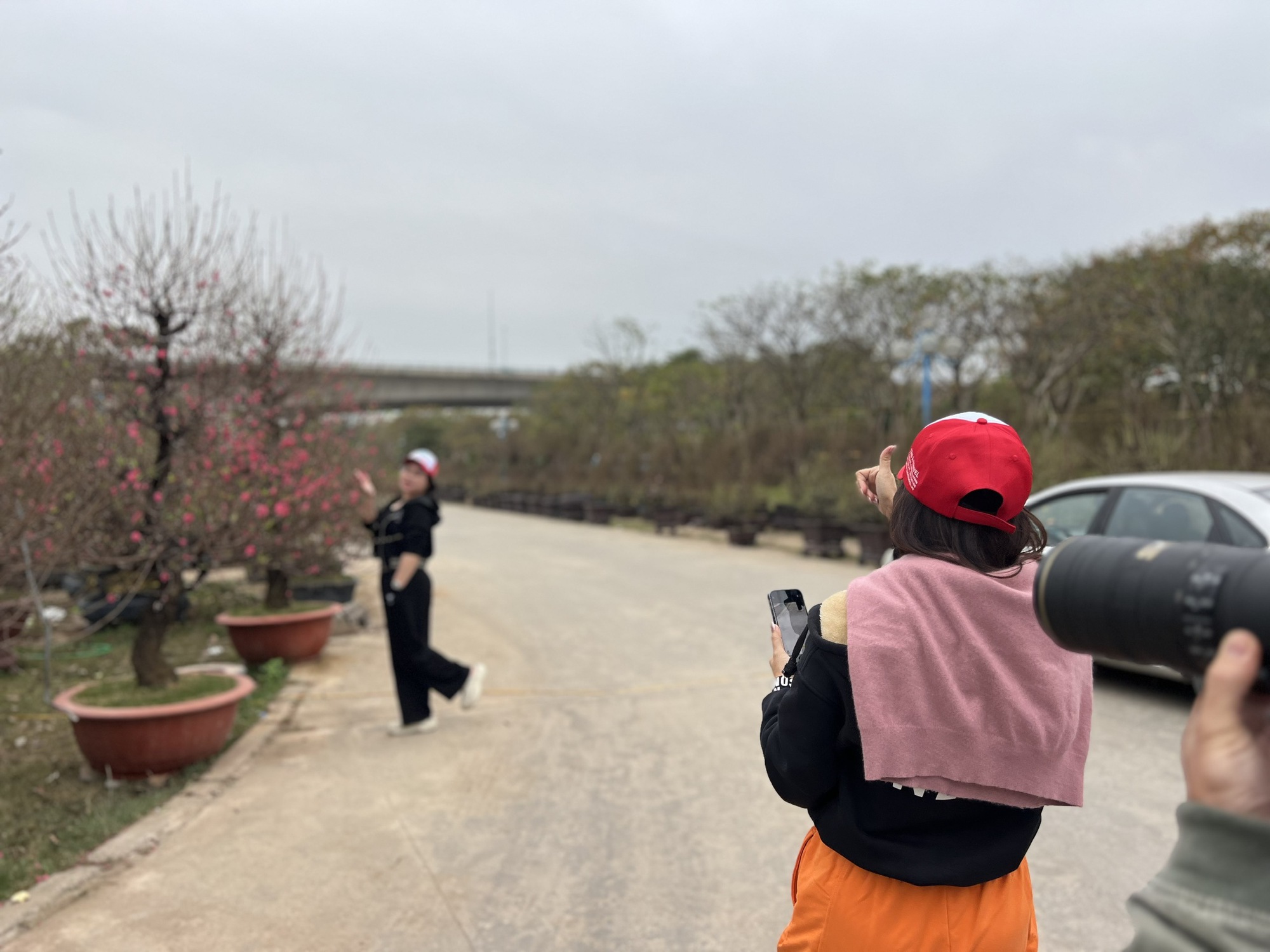 Ngỡ ngàng dàn "lão đào" Tây Bắc xuống phố Thủ đô, giá thuê hàng chục triệu đồng mỗi gốc - Ảnh 8.