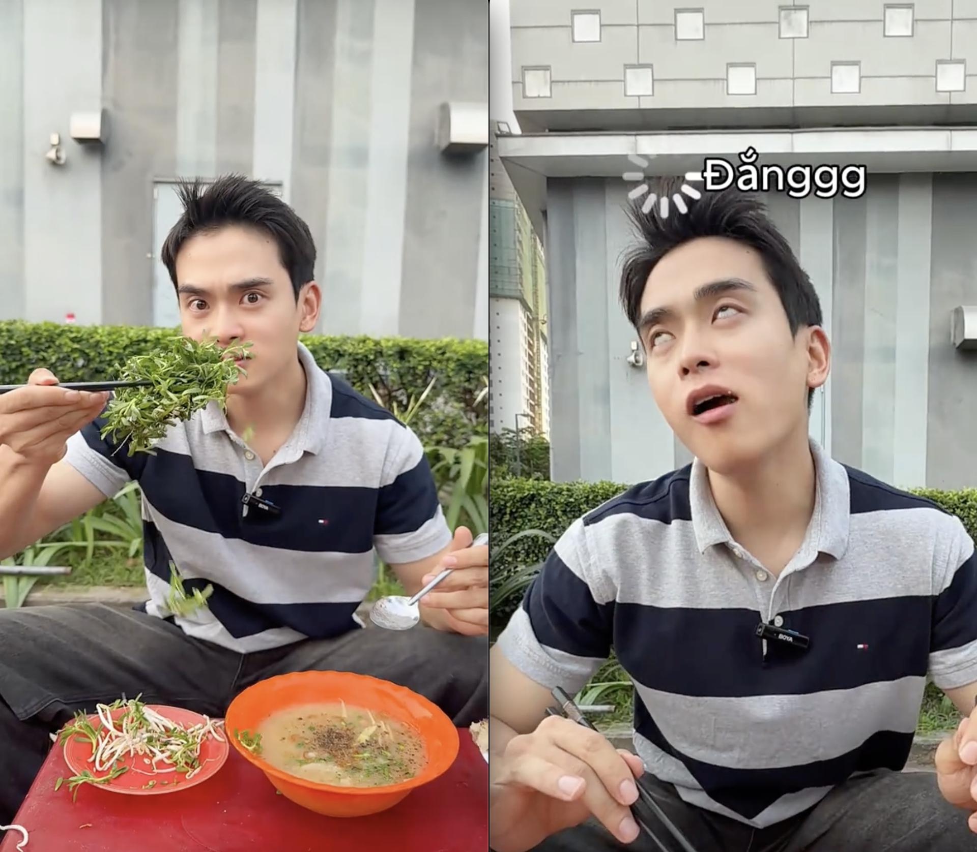 Loại rau đắng ngắt của miền Tây khiến khách Hàn vừa thử đã nghiện: "Ở Hàn Quốc không có hương vị này" - Ảnh 1.