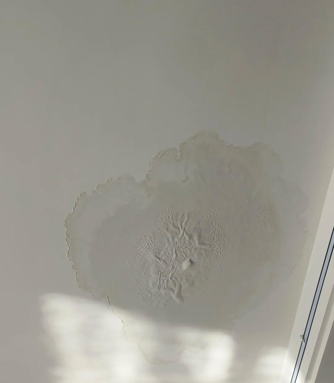 Ở căn hộ tầng cao nhất 6 tháng, tôi mới hiểu: Không phải căn hộ trên cao là đáng tiền- Ảnh 3. Ở căn hộ tầng cao nhất 6 tháng, tôi mới hiểu: Không phải căn hộ trên cao là đáng tiền- Ảnh 3.