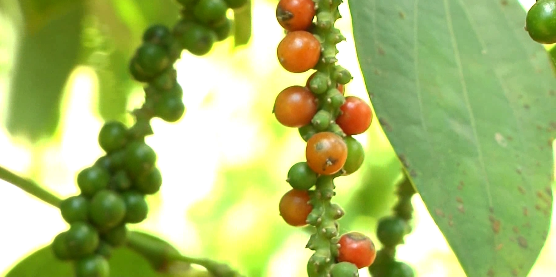 GDP 2025 tăng 8,02%: Bệ phóng cho mục tiêu tăng trưởng hai con số- Ảnh 3.