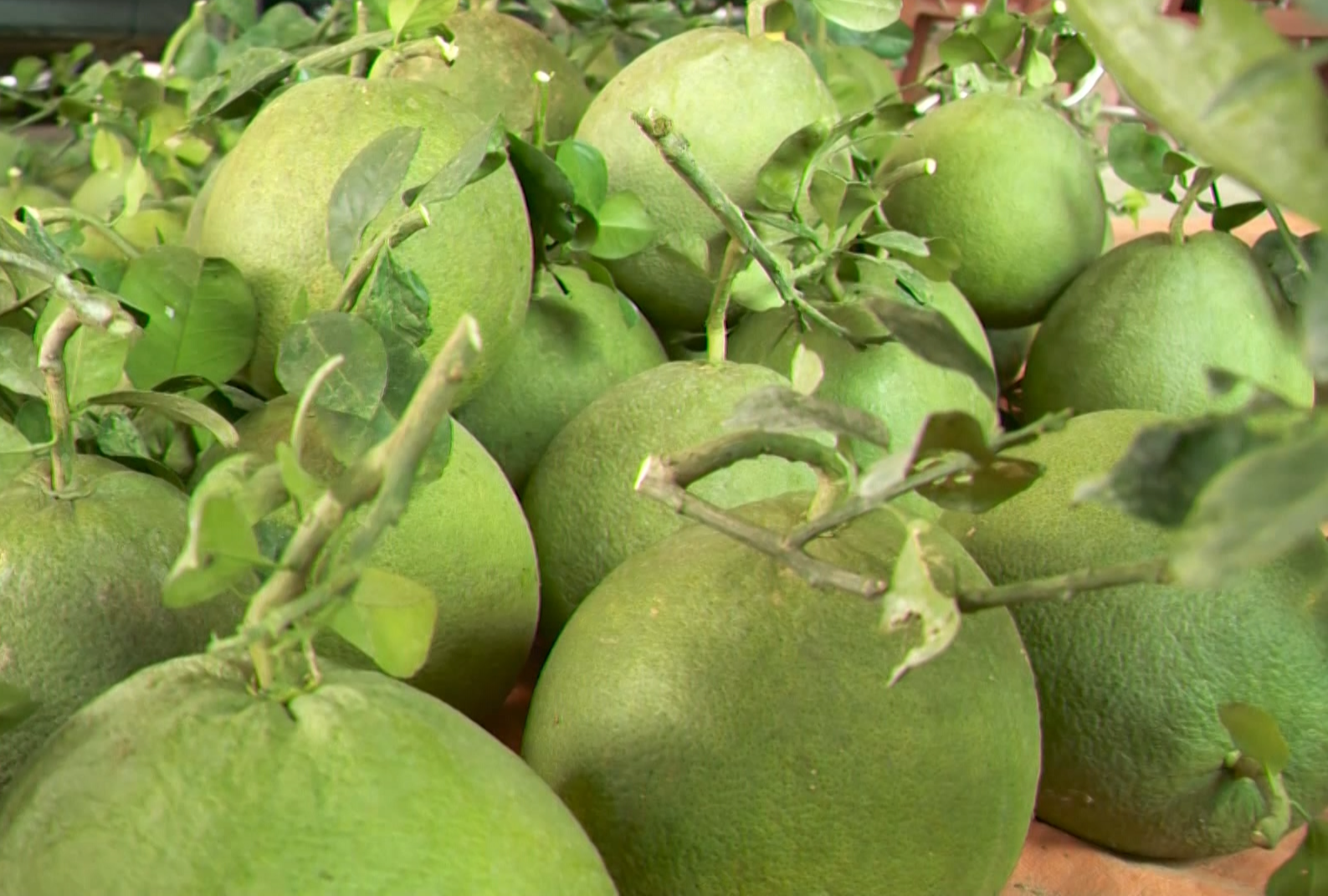 Kỷ lục xuất nhập khẩu 930 tỷ USD: Mở rộng quy mô, đi sâu về chất- Ảnh 2. Kỷ lục xuất nhập khẩu 930 tỷ USD: Mở rộng quy mô, đi sâu về chất- Ảnh 2.