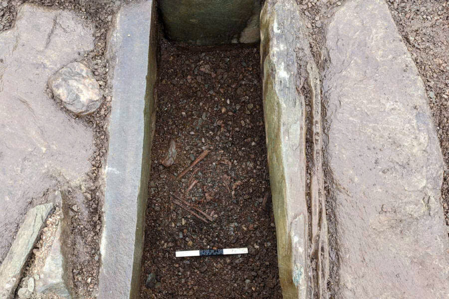 Đang cày ruộng thì phát hiện thứ lạ có niên đại 4.000 năm, người nông dân không tin vào mắt mình- Ảnh 2. Đang cày ruộng thì phát hiện thứ lạ có niên đại 4.000 năm, người nông dân không tin vào mắt mình- Ảnh 2.