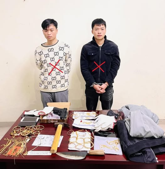 Vụ cướp tiệm vàng ở Ninh Bình: Bắt, khám xét nơi ở của sinh viên Đào Nguyên Bách - Ảnh 1.