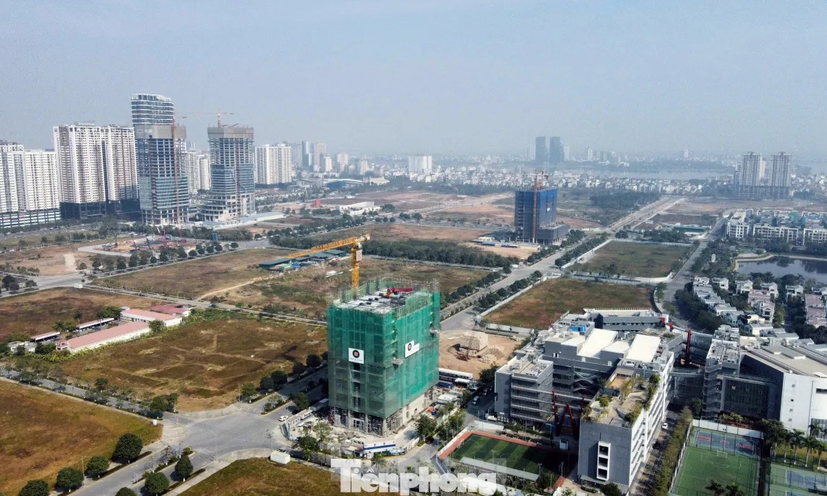 BĐS 2026 chờ ‘cú hích’ từ minh bạch dữ liệu và gỡ vướng pháp lý- Ảnh 2.