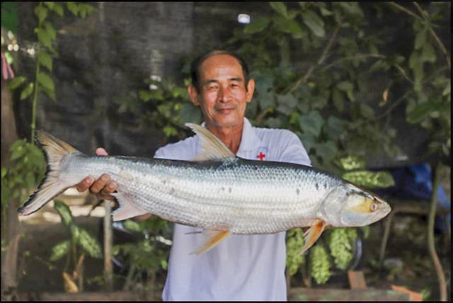 Lần theo dấu vết của cá thể lạ, láng giềng Việt Nam bất ngờ phát hiện loài vật 