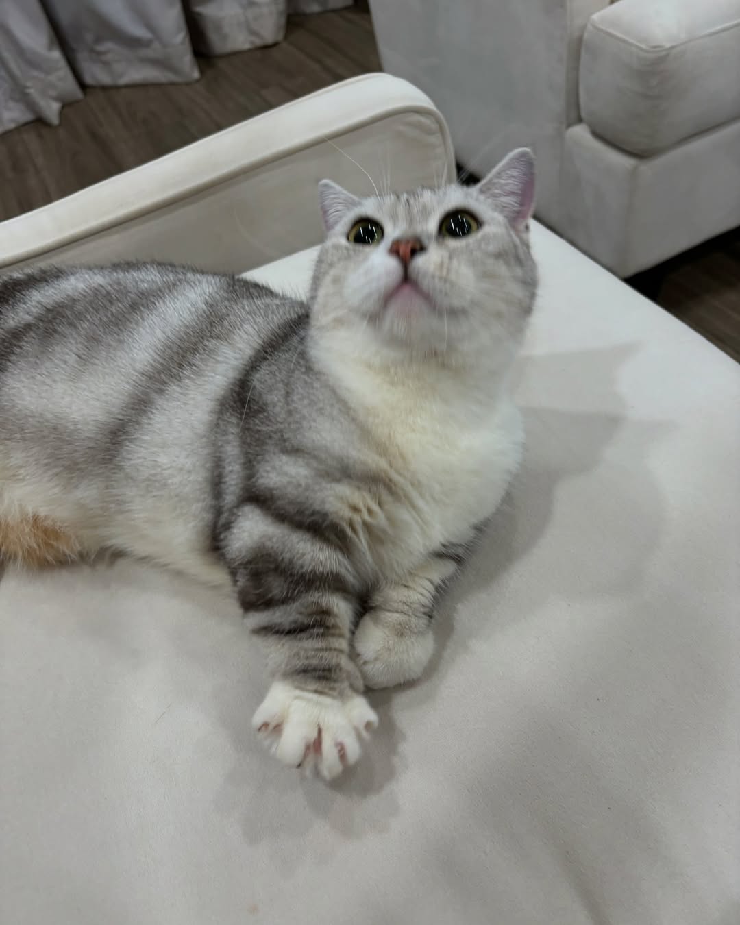 Sơn Tùng chuẩn bị cho tổ ấm mới?- Ảnh 6.