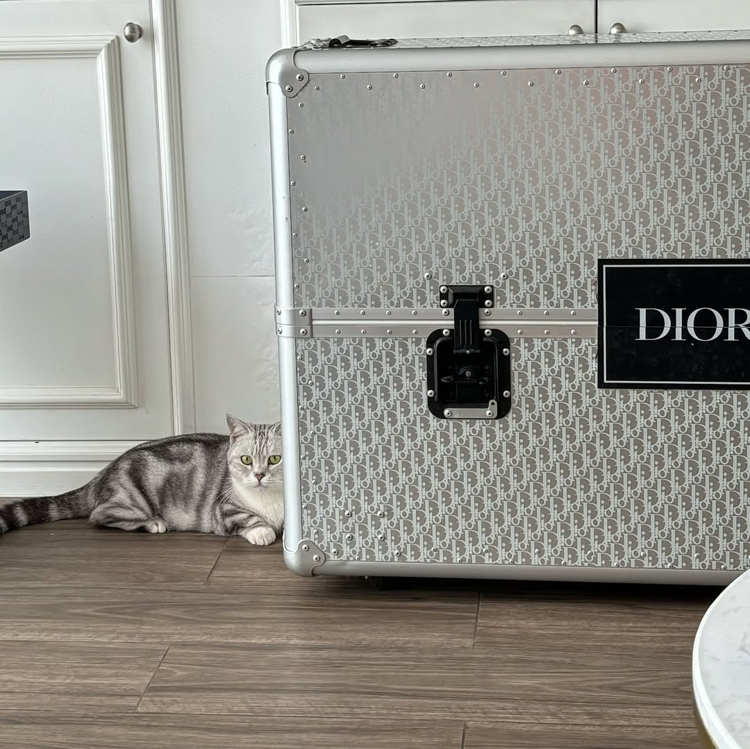 Sơn Tùng chuẩn bị cho tổ ấm mới?- Ảnh 7.