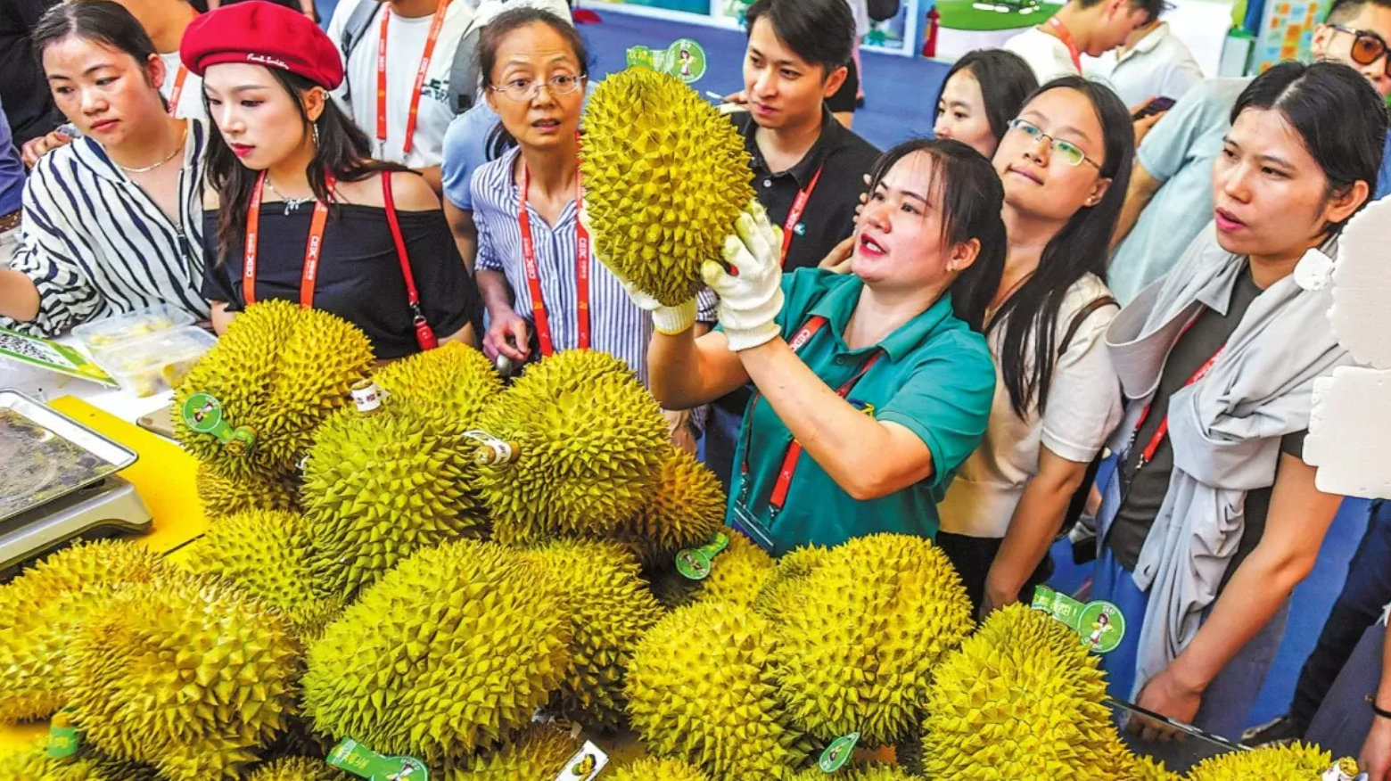 Một sản vật Việt Nam 'thắng lớn' ở Trung Quốc: Chuyên gia chỉ rõ lợi thế giúp vượt mặt Thái Lan- Ảnh 1.