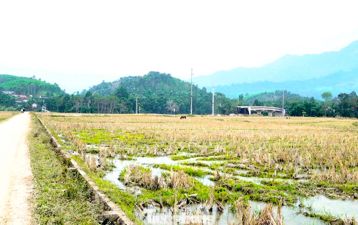 Cầu tiền tỷ xây xong rồi bỏ hoang- Ảnh 5.