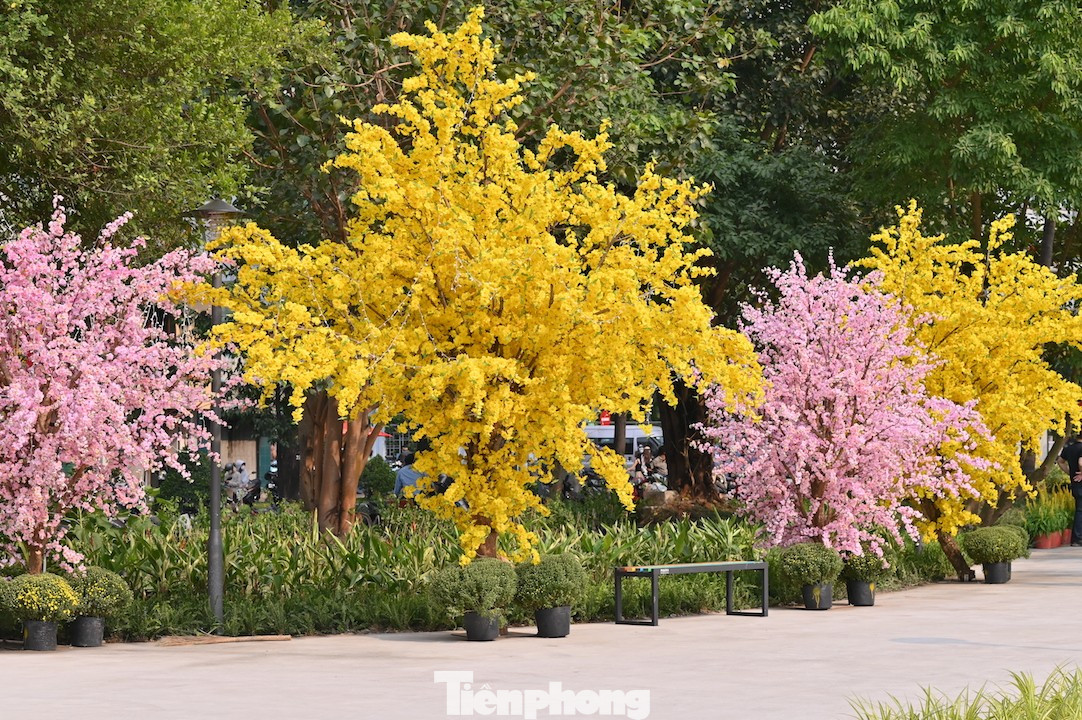 Tận thấy công viên đầu tiên được xây trên 'đất vàng' bỏ hoang ở TPHCM- Ảnh 11.