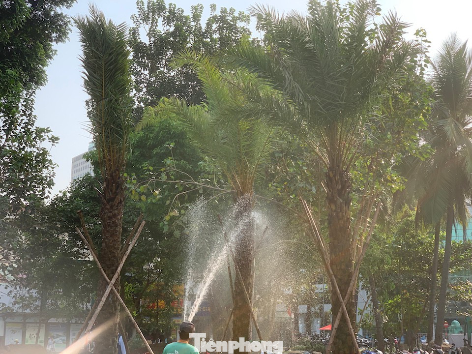 Tận thấy công viên đầu tiên được xây trên 'đất vàng' bỏ hoang ở TPHCM- Ảnh 10.