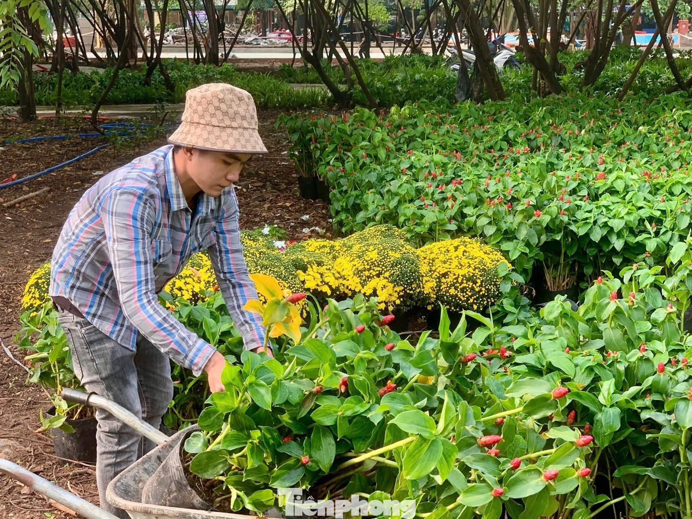 Tận thấy công viên đầu tiên được xây trên 'đất vàng' bỏ hoang ở TPHCM- Ảnh 9.