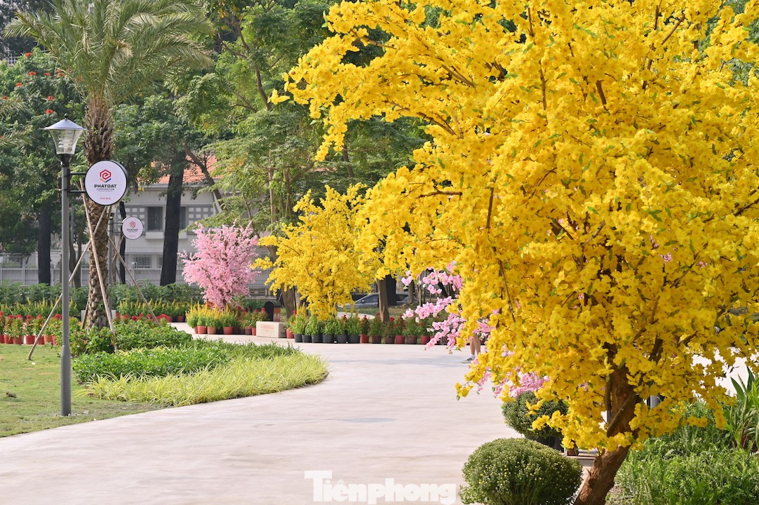 Tận thấy công viên đầu tiên được xây trên 'đất vàng' bỏ hoang ở TPHCM- Ảnh 5.