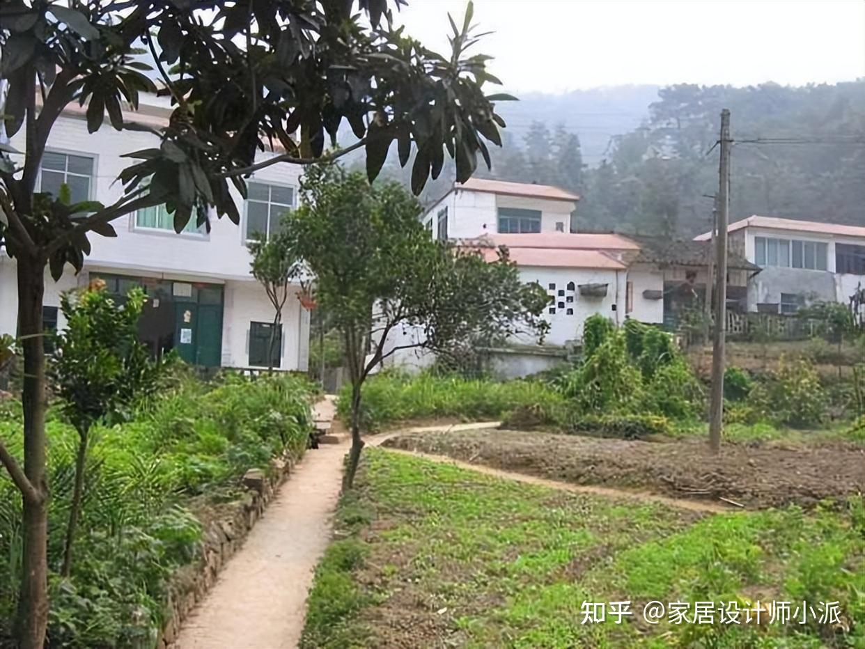 63 tuổi, tổng lương hưu 56 triệu/tháng: Tôi về quê nghỉ hưu chưa đầy một năm đã phải "bỏ chạy" - vì bài toán tài chính mà chúng tôi đánh giá quá ngây thơ- Ảnh 2.