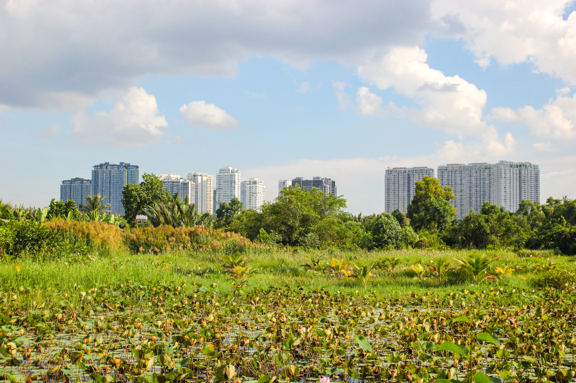 Những khu đô thị treo hơn 20 năm ở TP.HCM: Nơi lột xác khi về tay ông lớn, nơi vẫn là thôn quê - Ảnh 11.