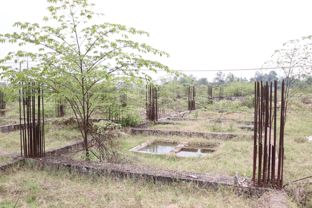 Nhiều năm "đắp chiếu", dự án BĐS ở Đà Nẵng gây bức xúc- Ảnh 5.