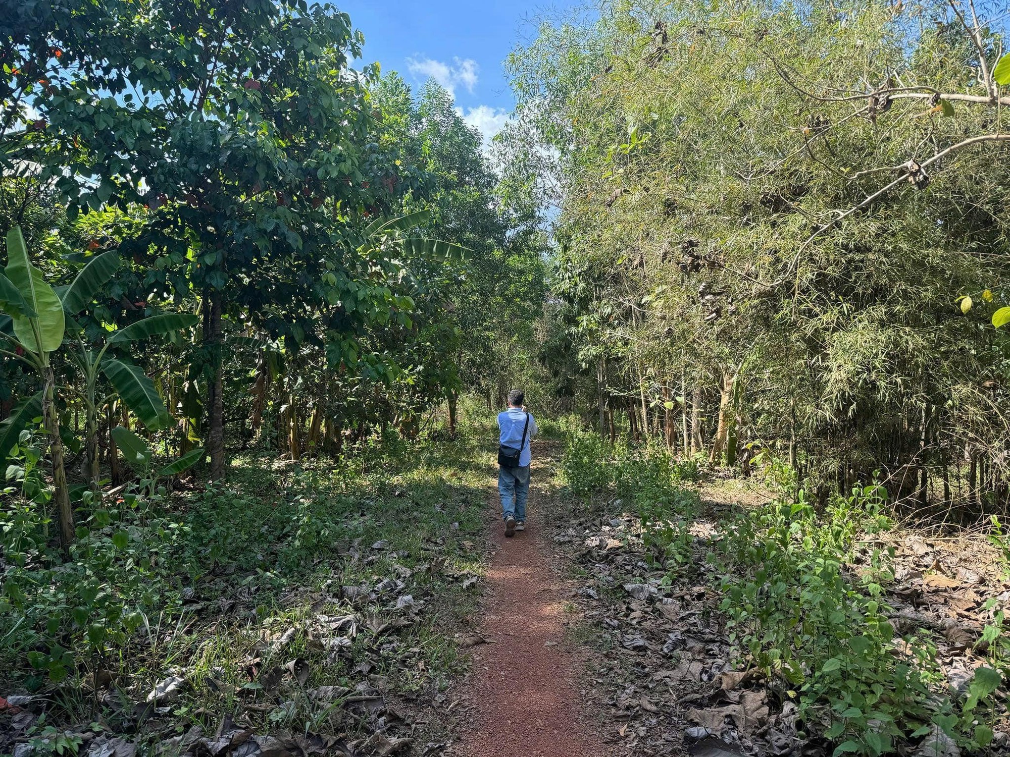 Chấp thuận nhà đầu tư đề xuất dự án đường kết nối từ cầu Mã Đà với Vành đai 4 TPHCM- Ảnh 1.