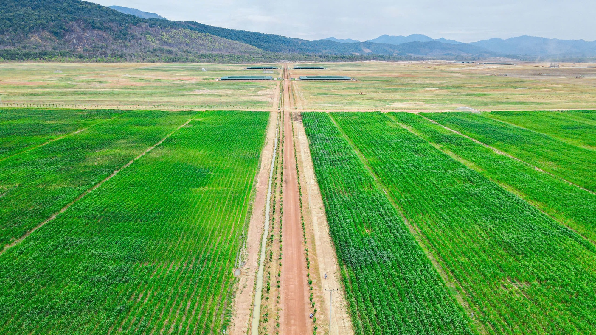 Siêu dự án 750 triệu đô của doanh nghiệp Việt phía sau "cuộc lột xác" của vùng đất Nam Lào- Ảnh 1. Siêu dự án 750 triệu đô của doanh nghiệp Việt phía sau "cuộc lột xác" của vùng đất Nam Lào- Ảnh 1.