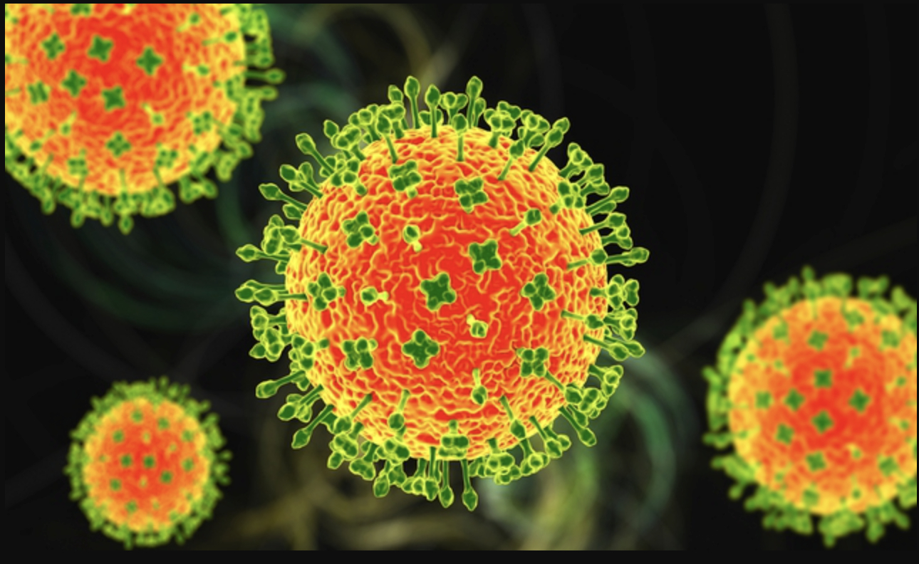 Toàn cảnh virus Nipah: Mối đe dọa âm ỉ khiến thế giới luôn trong trạng thái báo động- Ảnh 5.