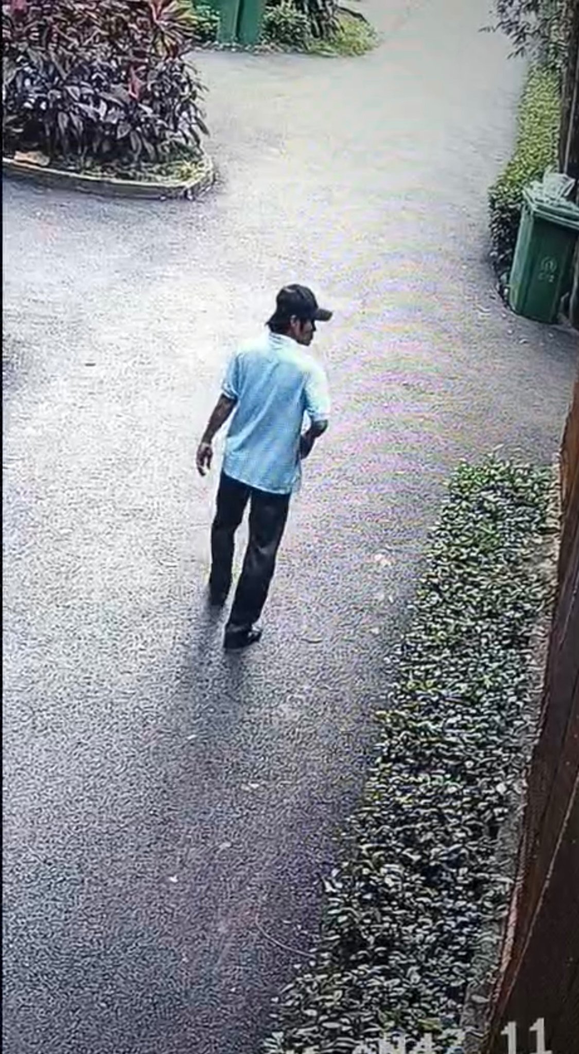 Xuyên đêm giải cứu thiên nga trắng trị giá 60 triệu: Bị cuộn đầu, nhét trong ba lô, dẫn đến stress nặng- Ảnh 1.