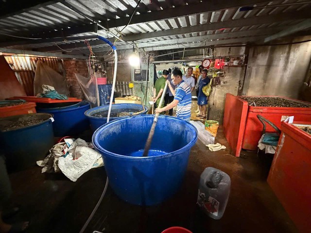 Bắt tạm giam Huỳnh Văn Trường trong vụ ngâm thịt ốc bằng hóa chất quy mô đặc biệt lớn- Ảnh 3.