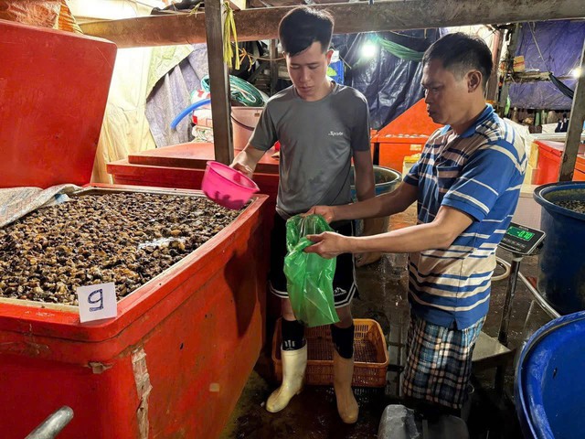 Bắt tạm giam Huỳnh Văn Trường trong vụ ngâm thịt ốc bằng hóa chất quy mô đặc biệt lớn- Ảnh 4.