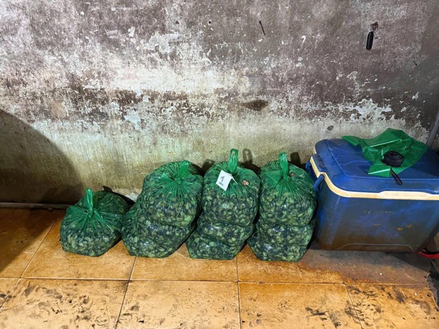 Bắt tạm giam Huỳnh Văn Trường trong vụ ngâm thịt ốc bằng hóa chất quy mô đặc biệt lớn- Ảnh 7.