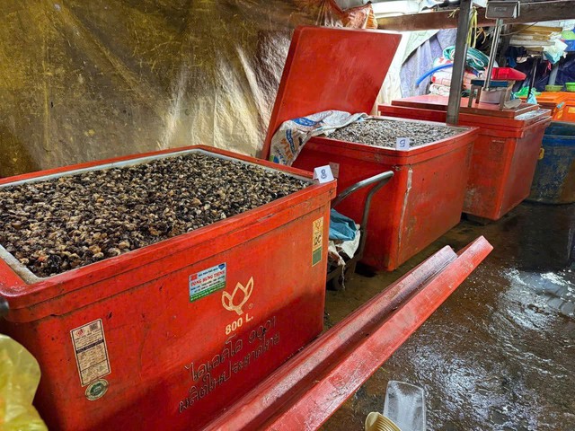 Bắt tạm giam Huỳnh Văn Trường trong vụ ngâm thịt ốc bằng hóa chất quy mô đặc biệt lớn- Ảnh 6.