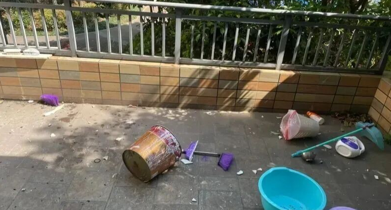 Bất chấp mọi lời khuyên, mua căn hộ tầng một có sân: Sáu tháng sau, chủ nhân phải bật khóc khi rao bán lại- Ảnh 4.