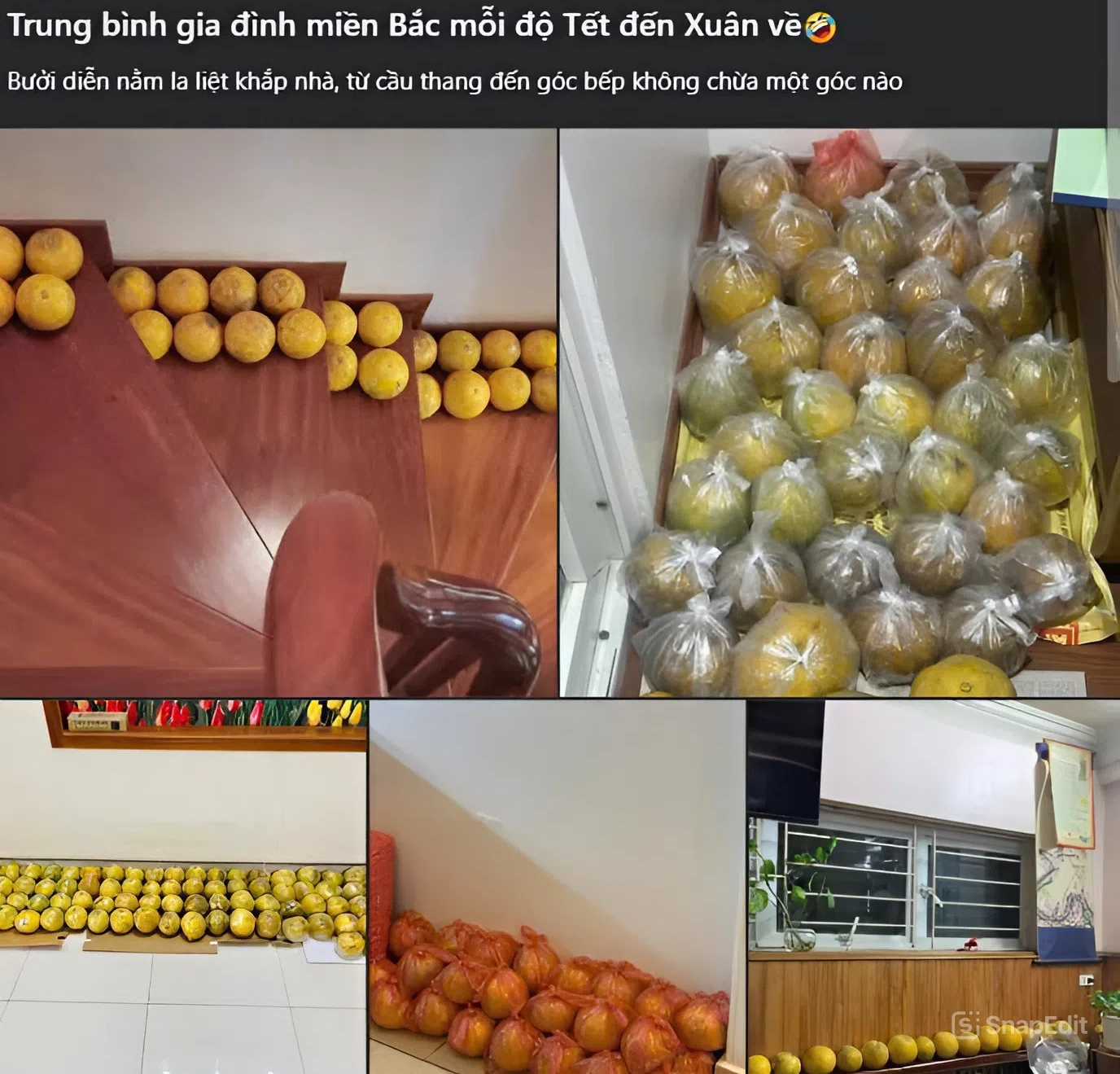 Trung bình nhà miền Bắc mỗi dịp Tết: Càng xem càng dejavu, cảnh tượng này trong mơ cũng vẫn ám ảnh- Ảnh 2.