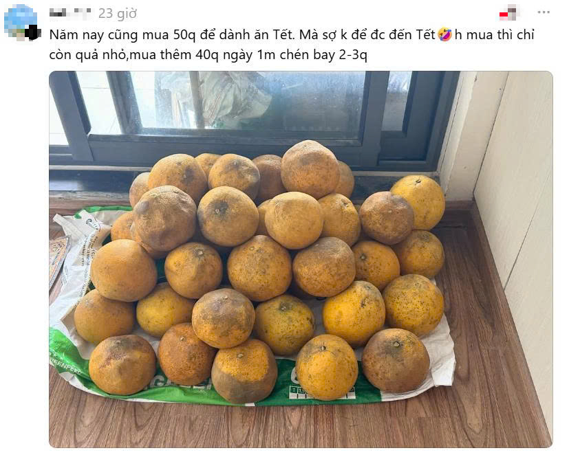 Trung bình nhà miền Bắc mỗi dịp Tết: Càng xem càng dejavu, cảnh tượng này trong mơ cũng vẫn ám ảnh- Ảnh 5.