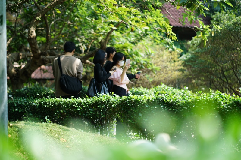 Sau vụ bắt cóc hy hữu, con thiên nga trắng còn lại tại Thảo Cầm Viên trong tình trạng khác lạ khiến nhiều người lo lắng- Ảnh 5. Sau vụ bắt cóc hy hữu, con thiên nga trắng còn lại tại Thảo Cầm Viên trong tình trạng khác lạ khiến nhiều người lo lắng- Ảnh 5.